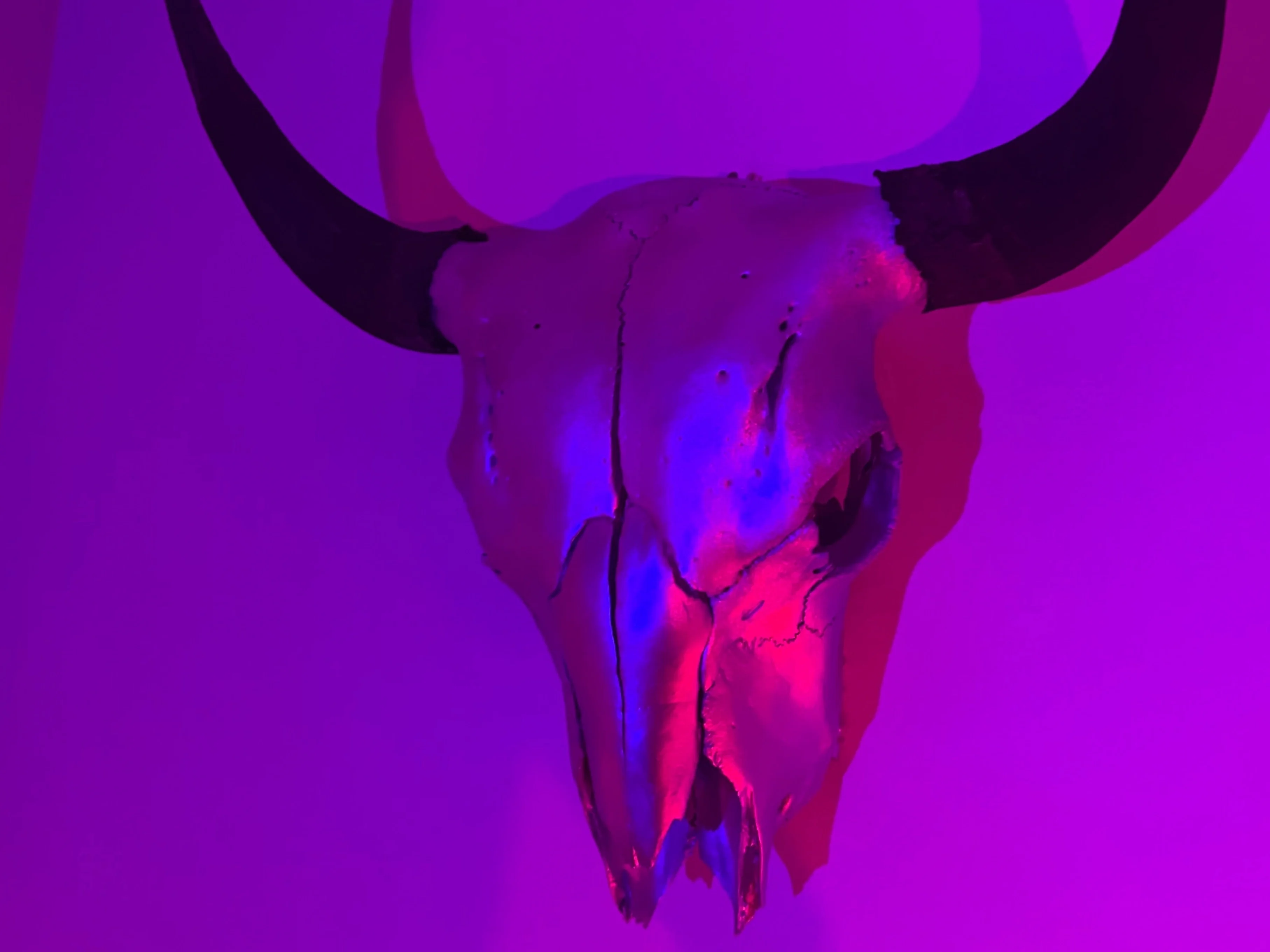 WY Trans Gal - Aurora - Content Creator